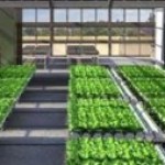 Group logo of Rooftop Initiative