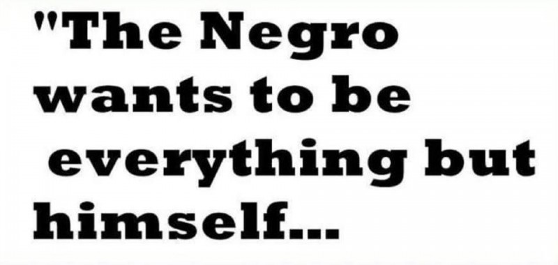 16174649_1432045346806871_3640356883040900352_n